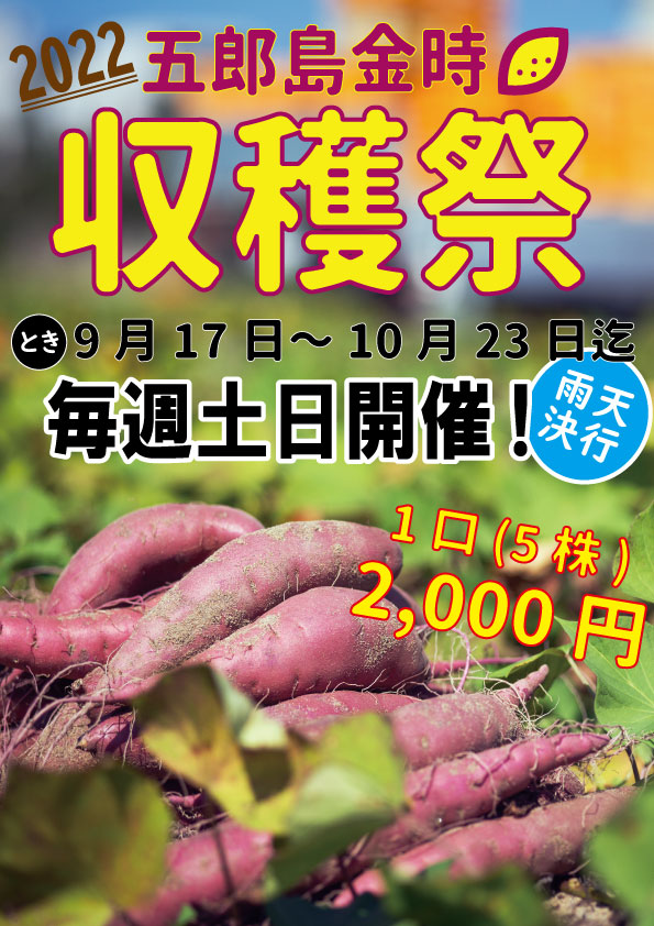 芋掘り　HPお知らせ1